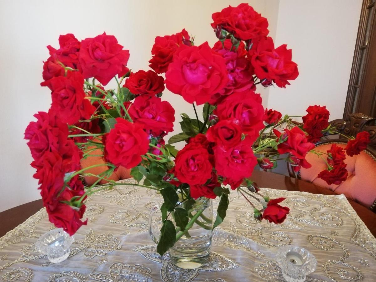 ツヴァイブリュッケンRosen Und Rosseアパートメント エクステリア 写真
